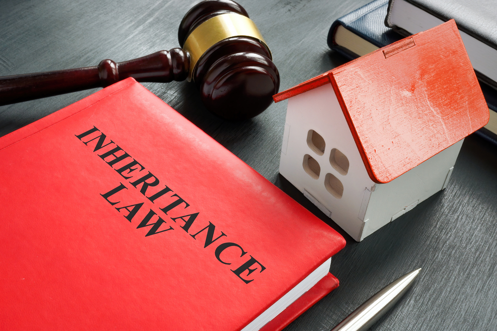 Inheritance-law-options